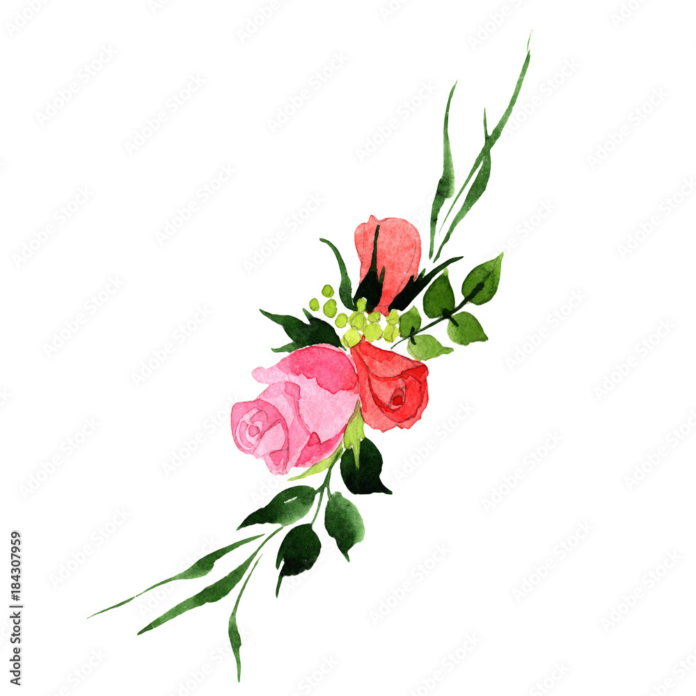 Bouquet flower in a watercolor style isolated. Full name of the plant: rosa, hulthemia. Aquarelle wild flower for background, texture, wrapper pattern, frame or border.