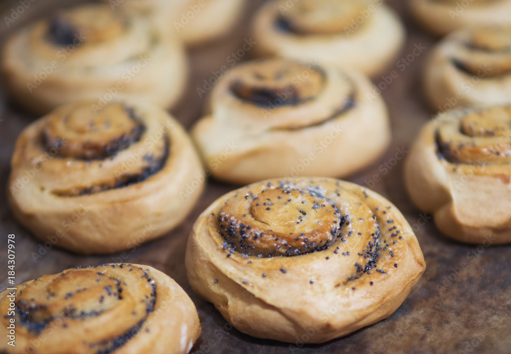 buns with poppy seeds buns with poppy seeds