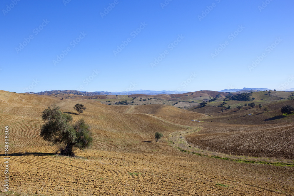 spanish arable fields
