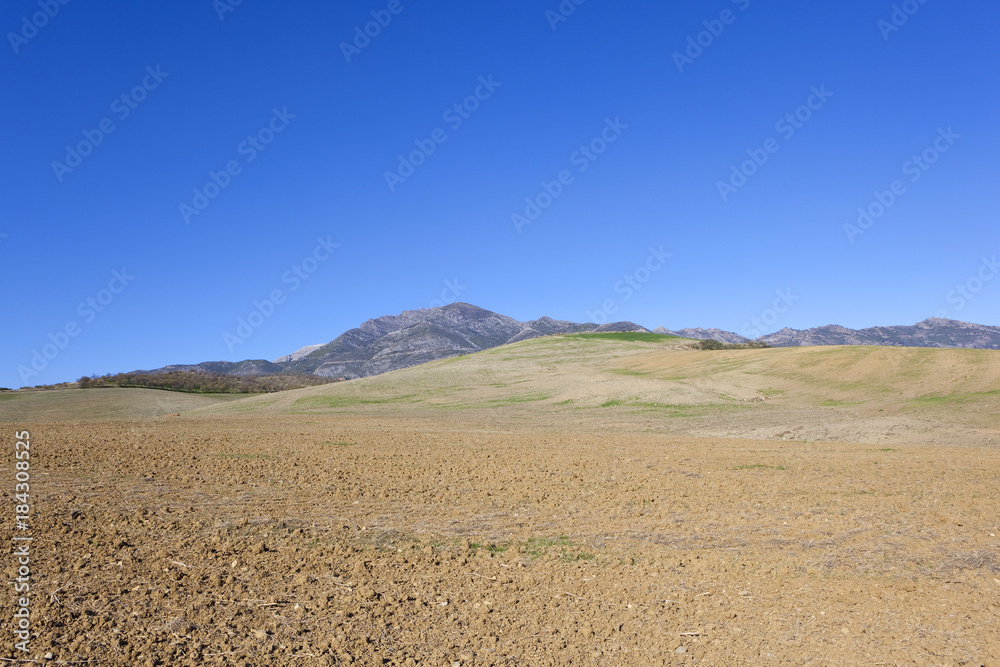 andalucian farming landscape with plow soil and mountain
