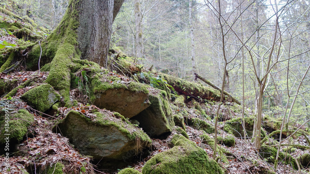 Wanderung, Buchberger