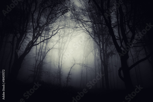 dark mystical background