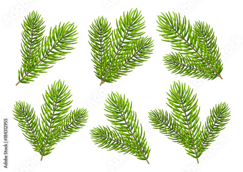 Set of Christmas tree branches isolated on white