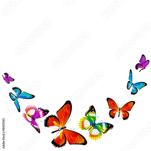 beautiful color butterflies,set, isolated  on a white © aboard
