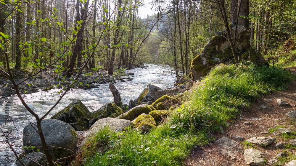 Wanderweg Ringelai-Freyung; Buchberger Leite Wanderweg Ringelai-Freyung; Buchberger Leite