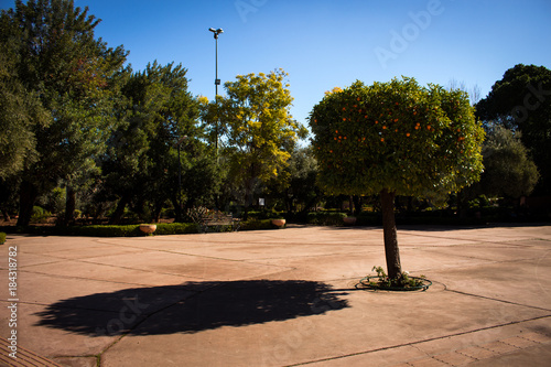 Park Jnane el Harti in Marrakesch photo