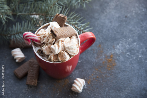 cocoa with marshmallows, Christmas tree branches and Christmas decorations. place for text