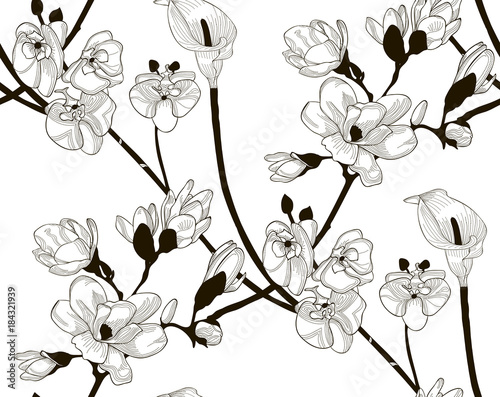 Fototapeta Naklejka Na Ścianę i Meble -  Vector Seamless Pattern with Drawn Flowers