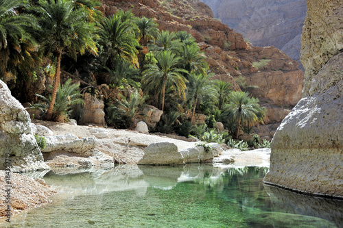 Wadi Shab, oasis, between the mountains, Oman photo