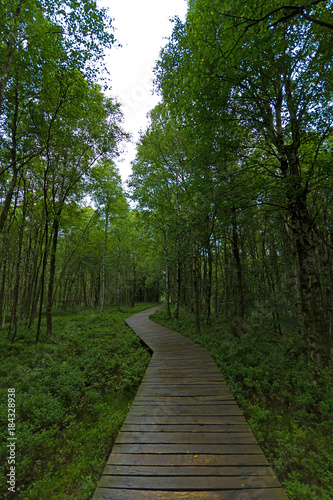 Der Weg - Naturschutzgebiet