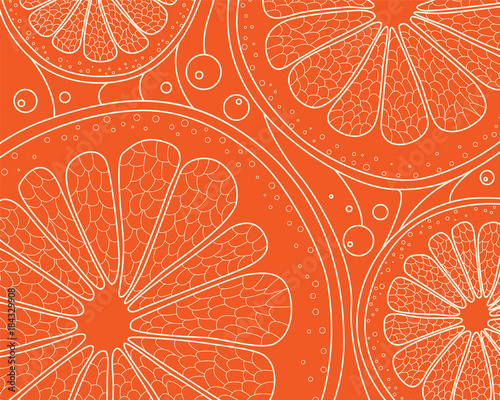 Natural color stylized linear background with citrus in section. Hand-drawn doodling background. Vector illustration.