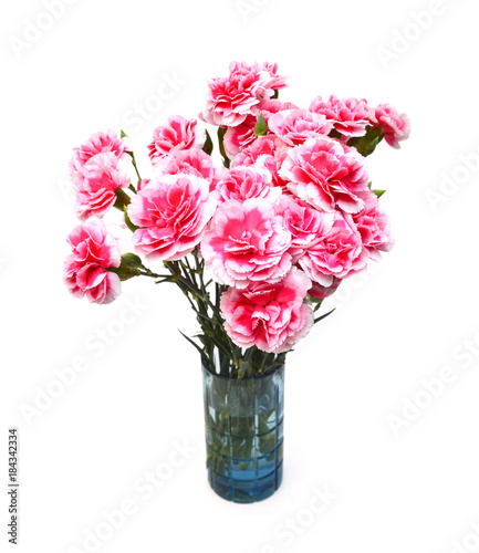 Wallpaper Mural A red carnation blooming  Torontodigital.ca