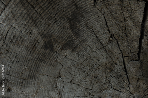 Old dark wood timber texture or background with annual rings. Copy space. graphics resources. Front view of texture
