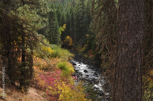 A bit of fall along the firver