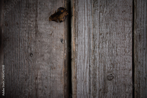 Photo of natural wood for background or texture