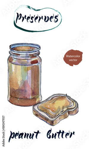 Peanut butter, watercolor hand drawn vector illustration