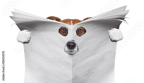 Fototapeta Naklejka Na Ścianę i Meble -  spy dog reading a newspaper