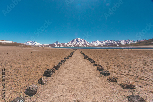 Laguna Altiplânica in Chile photo