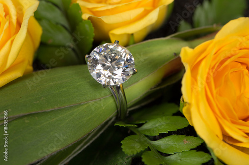  WhiteDiamond engagement ring macro photography flowers yellow yellow photo