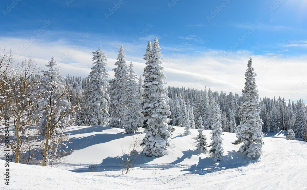 Obraz premium Blue winter morning