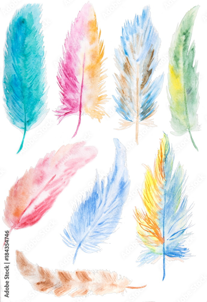 Hand drawn watercolor feather set. isolated on white. Hand drawn watercolor feather set. isolated on white.