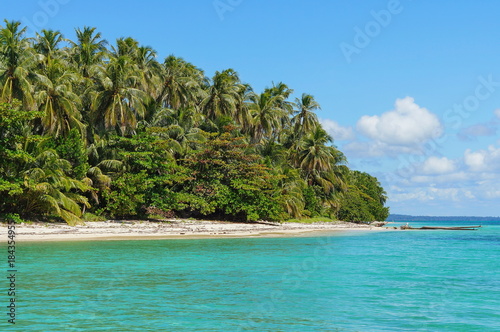 Central America  Panama  wild island coastline with lush tropical vegetation  Bastimentos national marine park  Bocas del Toro