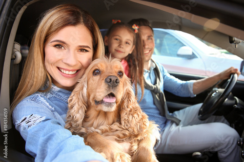 Young woman with family and dog taking selfie in car