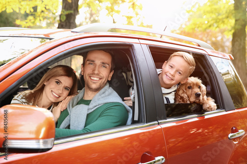 Young family with dog in car