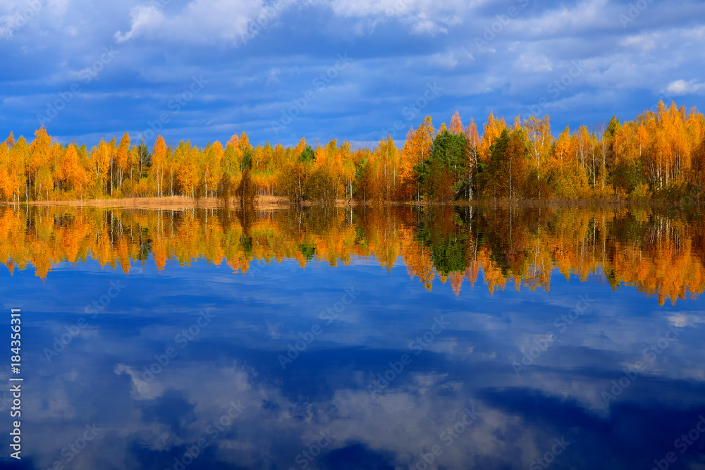 Golden Autumn Golden Autumn