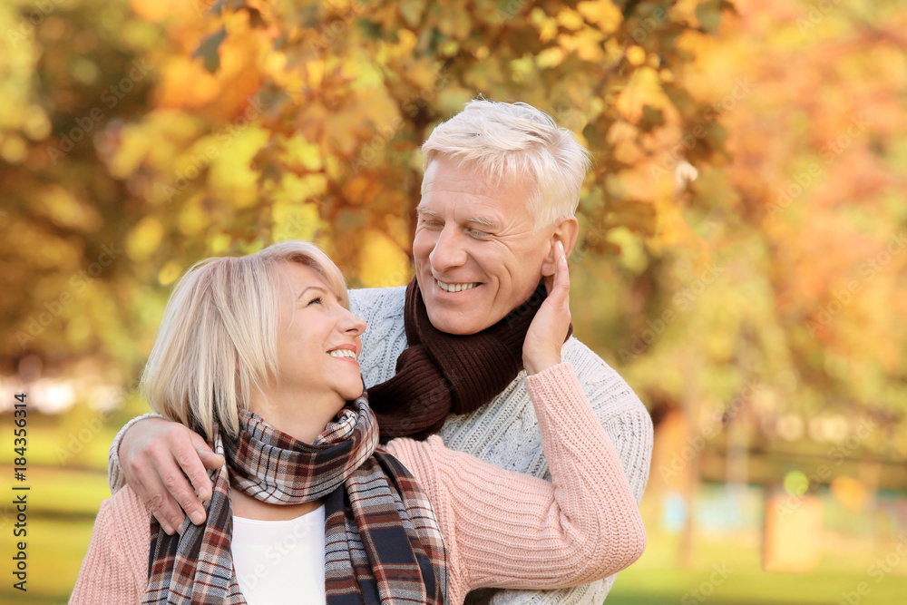 Fototapeta premium Cute elderly couple in autumn park