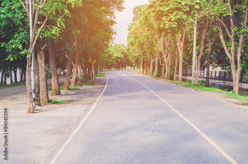  park, vibrant green natural background (background, nature, blur)