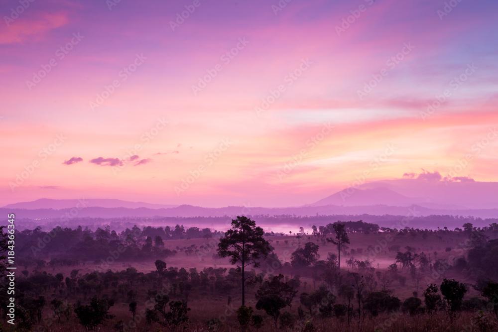 Lanscape nature sunset with fog,Thung Salaeng Luang National Park