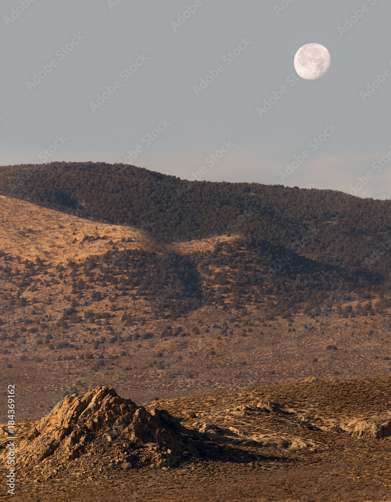 Scenic Desert and Dusk Moon
