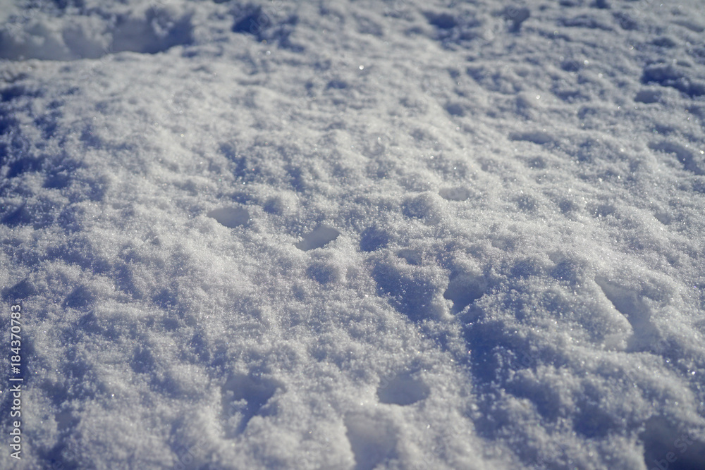 White snow fallen on the ground after a winter storm White snow fallen on the ground after a winter storm