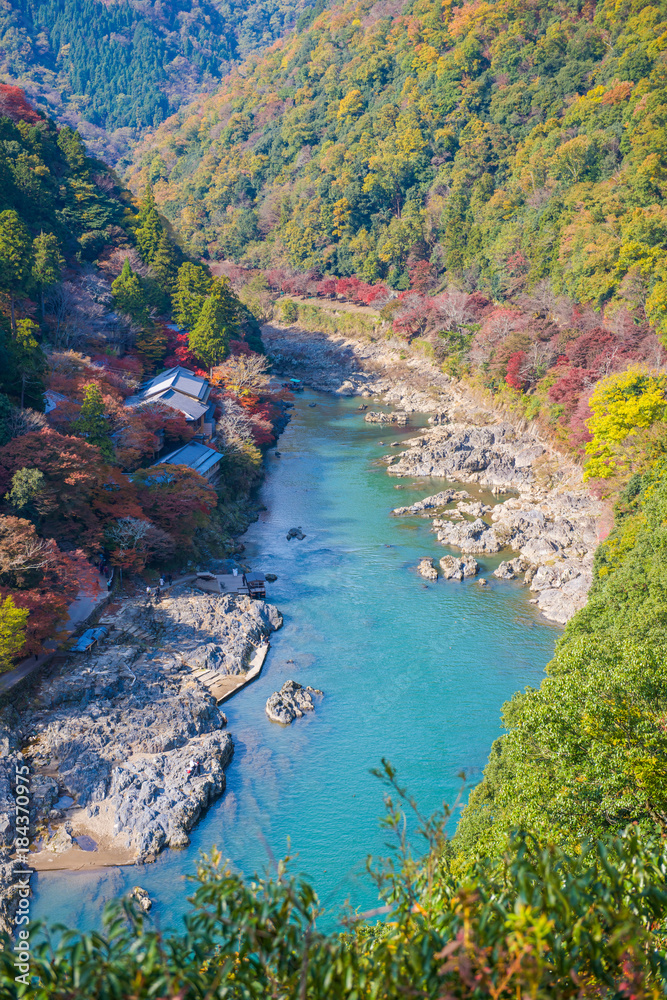 Top view of the river and forest in autumn season at Arashiyama
