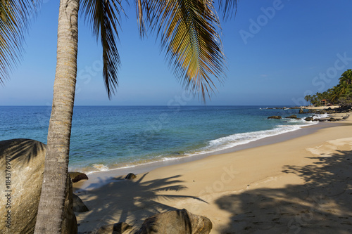 Tropical beach in Pizota near Puerto Vallarta, Mexico © Zstock