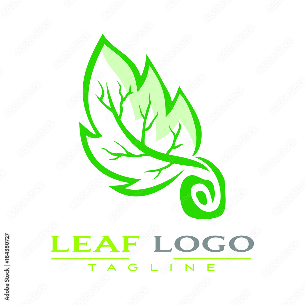 leaf vector logo leaf vector logo