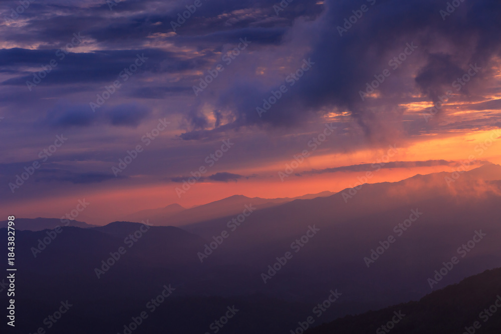 Obraz premium Purple sky 