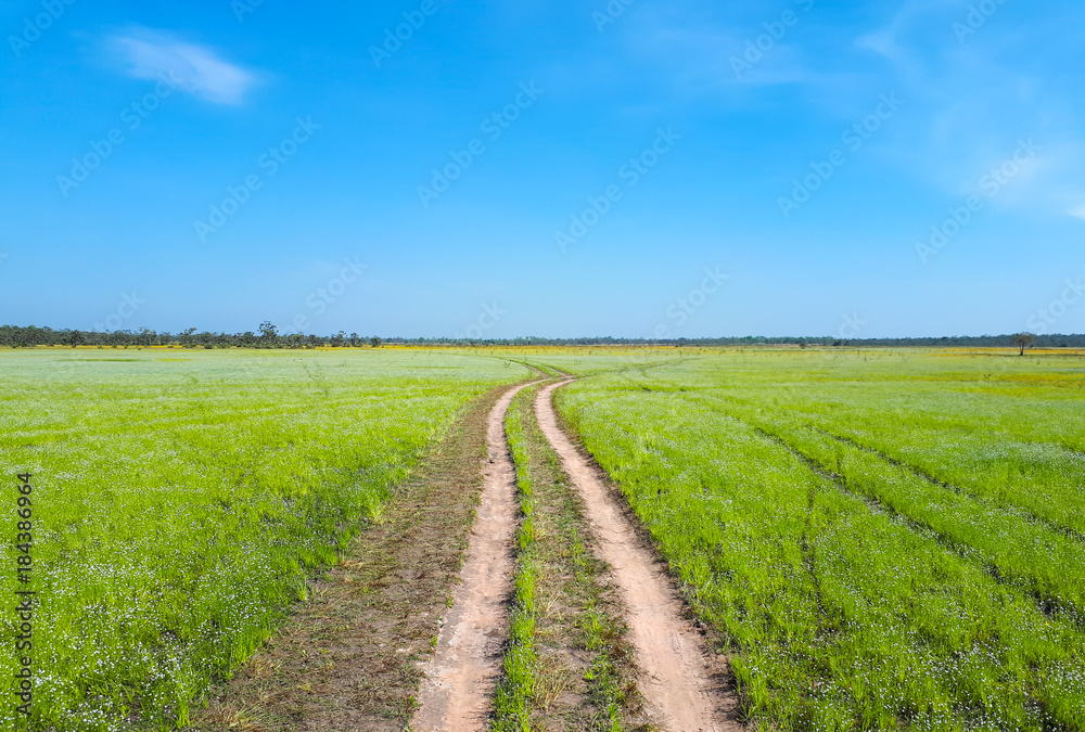 Wheel tracks with green meadow and blue sky