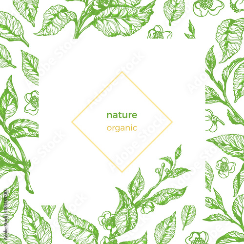 Vector template of organic nature