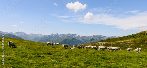 Plateau de Beille photo