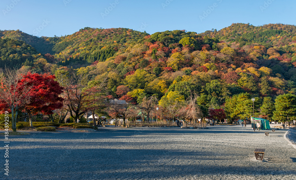 Obraz premium Arashiyama in beautiful autumn season colours, Kyoto, Japan.