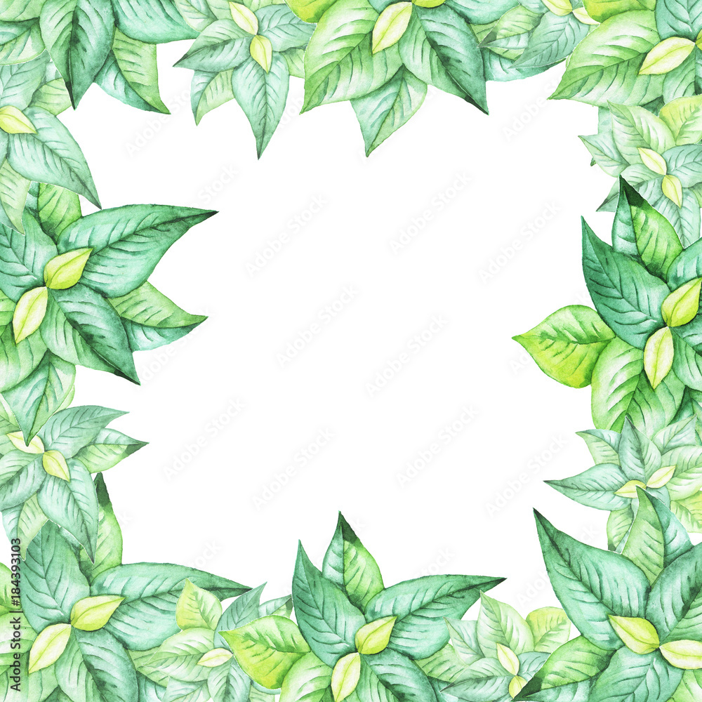 Tropic green leaves border on white background. Hand drawn watercolor illustration. Tropic green leaves border on white background. Hand drawn watercolor illustration.