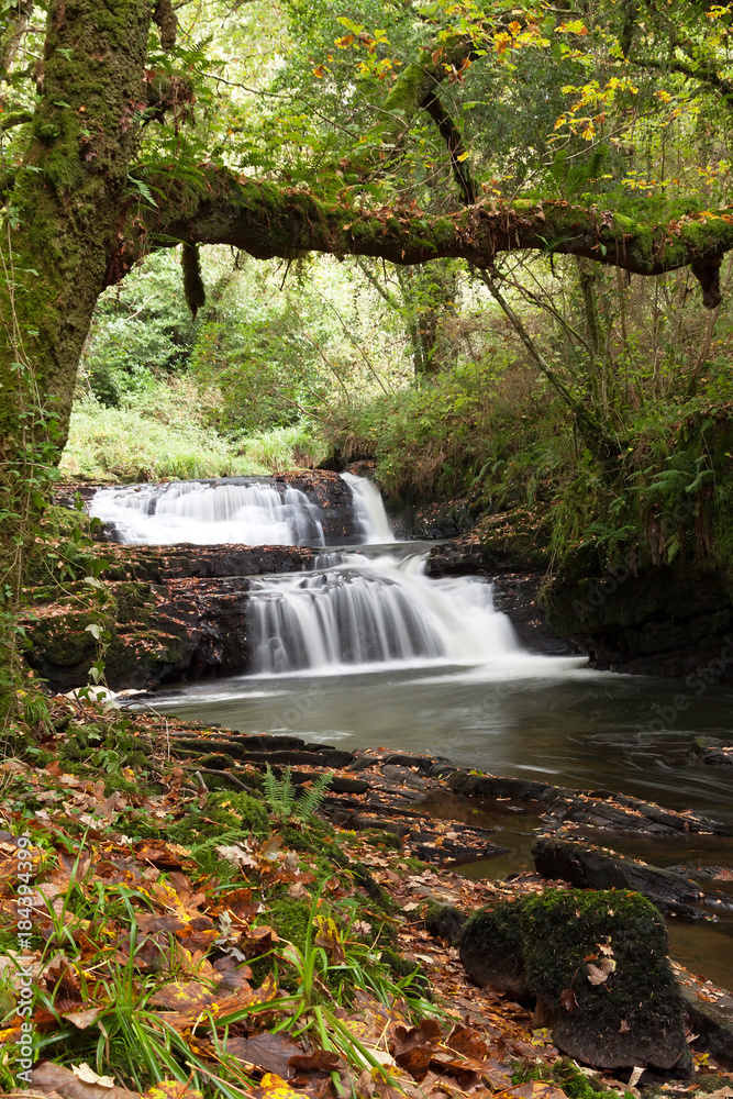 Obraz premium Beautiful water cascade in Clare Glens