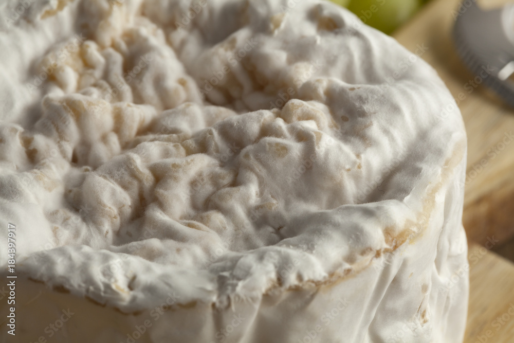 Small camembert cheese close up Small camembert cheese close up