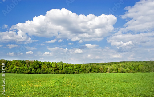 Fields and woods in Yasnaya Polyana, the former estate of the writer Leo Tolstoy