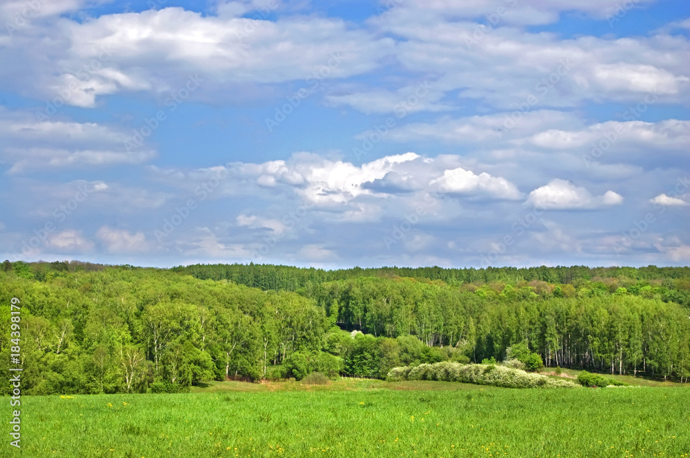 Fields and woods in Yasnaya Polyana, the former estate of the writer Leo Tolstoy Fields and woods in Yasnaya Polyana, the former estate of the writer Leo Tolstoy