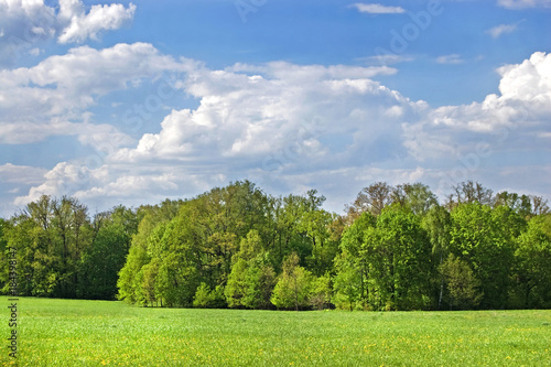 Fields and woods in Yasnaya Polyana, the former estate of the writer Leo Tolstoy