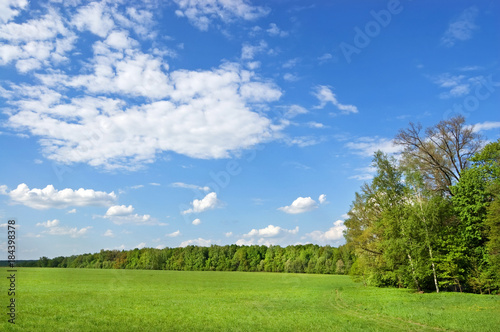 Fields and woods in Yasnaya Polyana, the former estate of the writer Leo Tolstoy © Андрей Медведев