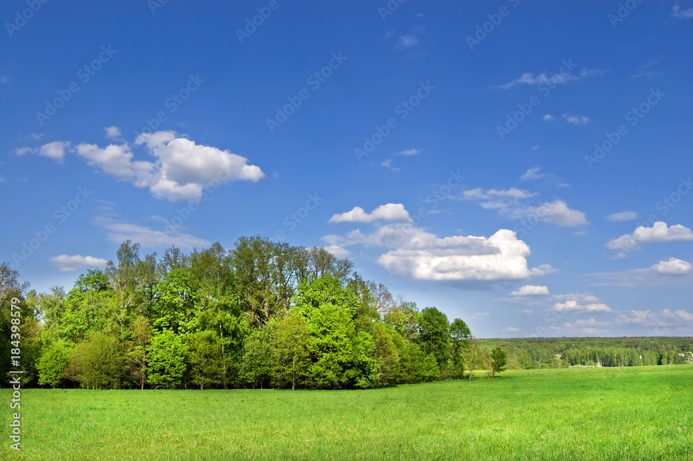 Obraz premium Fields and woods in Yasnaya Polyana, the former estate of the writer Leo Tolstoy